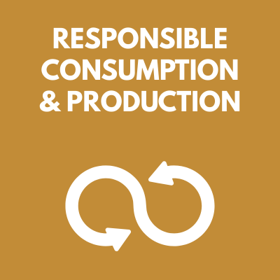 Responsible Consumption