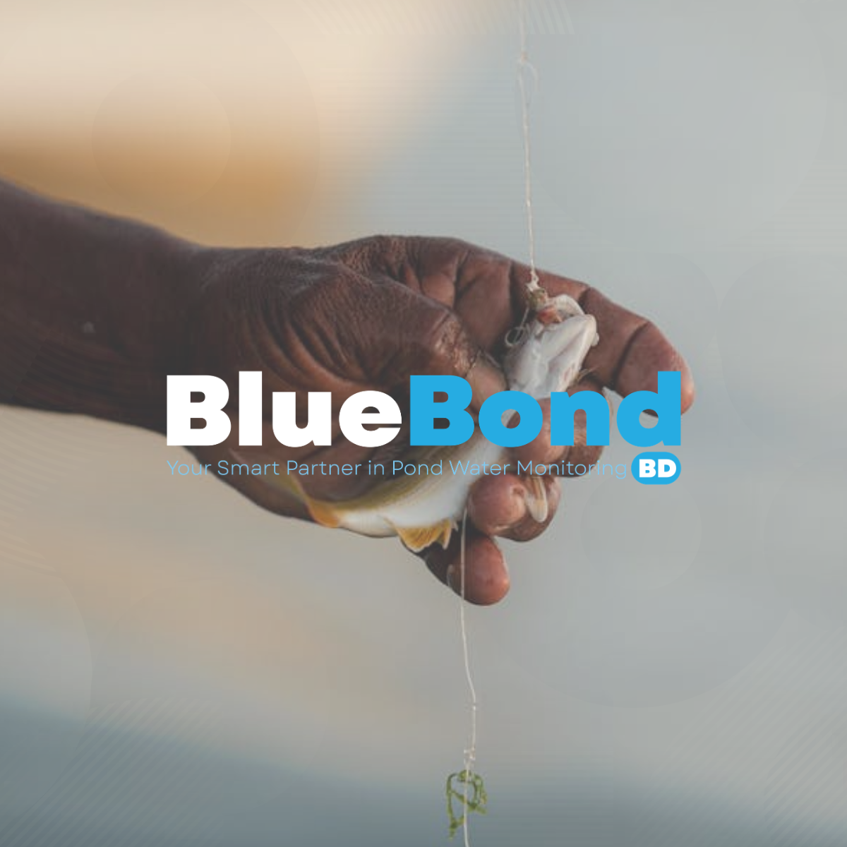 BlueBondBD